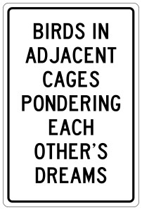 Prince Myshkin's Birds in adjacent cages